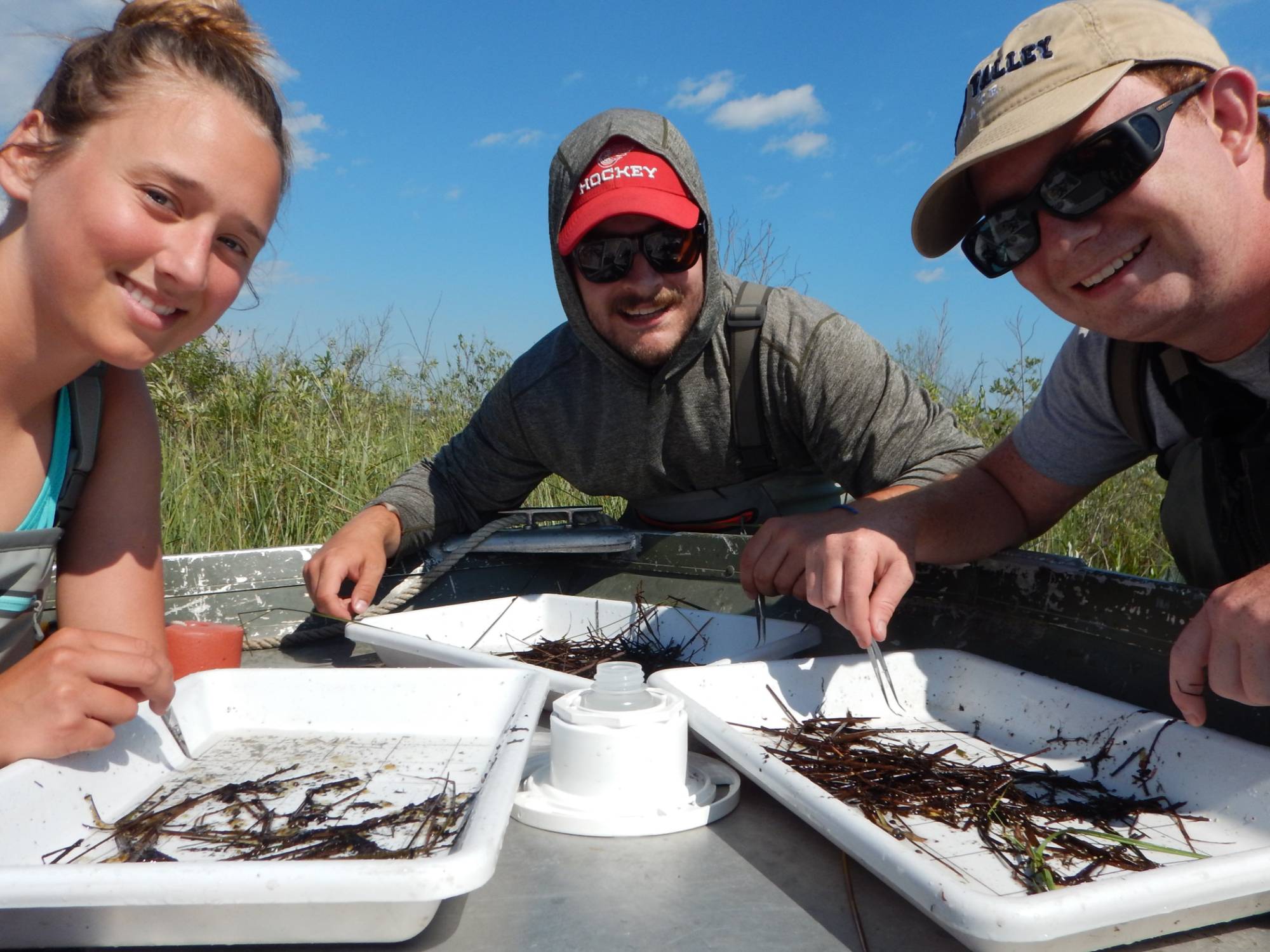 Collecting macroinvertebrates